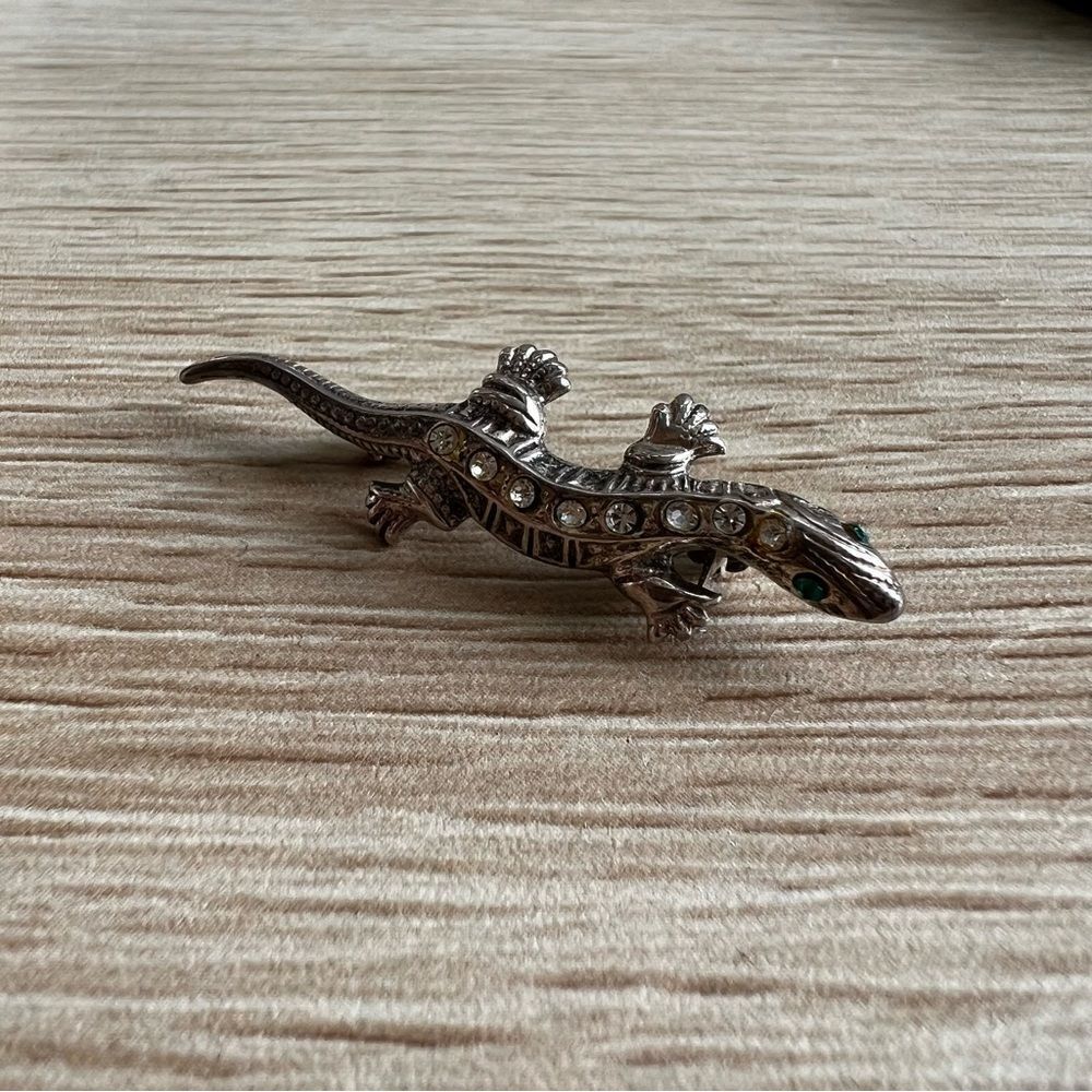 Lizard brooch  